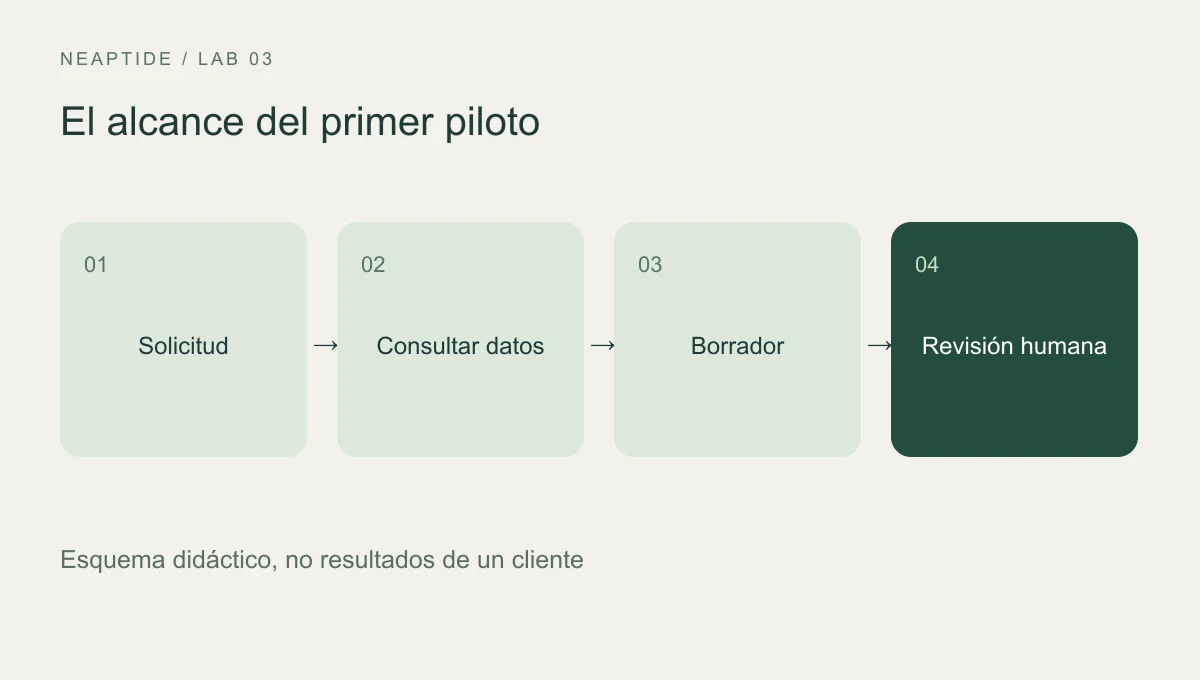 Solicitud, consulta de datos, borrador y revisión humana